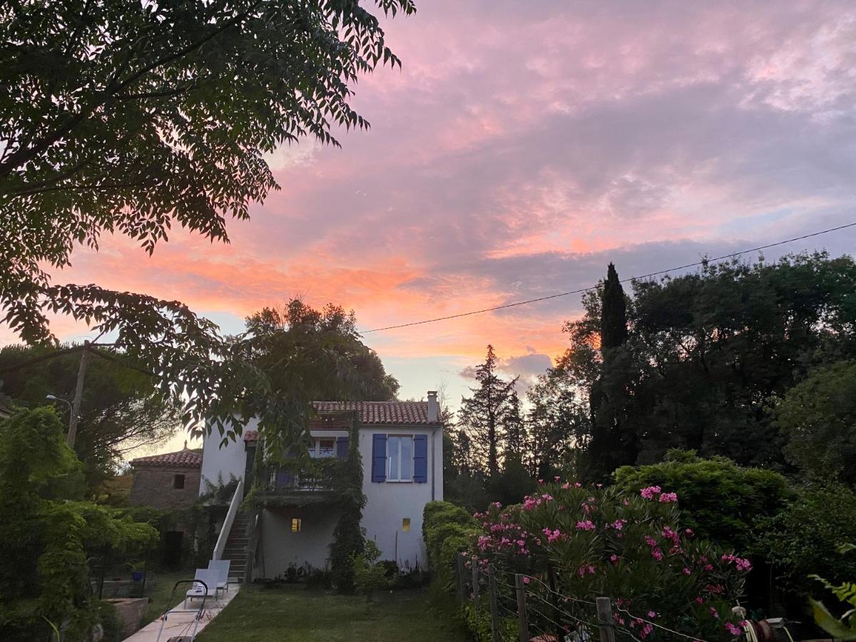 Petite Maison De Charme - Le Jardin Secret D'Alice Roquebrune-sur-Argens Exterior foto